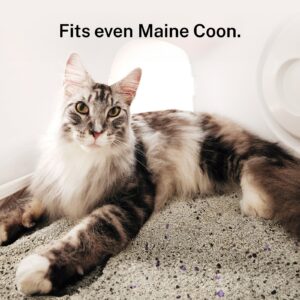 Self-cleaning Litter Box CS106